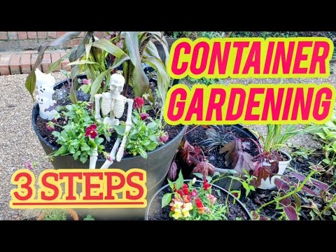 Filler, Spiller & Thriller Planting | Container Garden Re-do for fall Filler, Spiller & Thriller Planting | Container Garden Re-do for fall