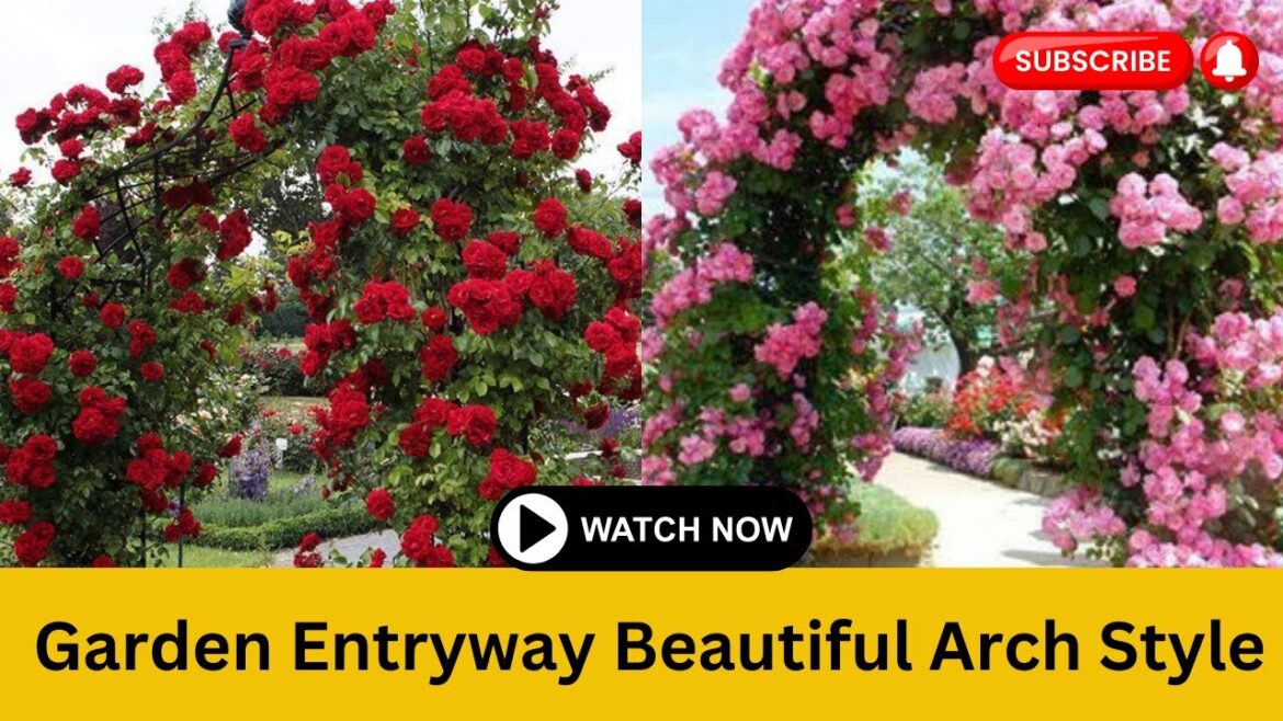 Enhance Your Garden Entryway: Beautiful Arch Style Garden Gate Ideas | Garden Design Ideas