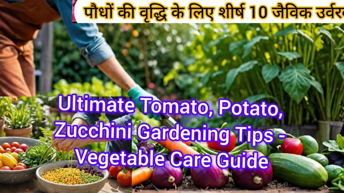 Ultimate Tomato, Potato, Zucchini Gardening Tips - Vegetable Care Guide