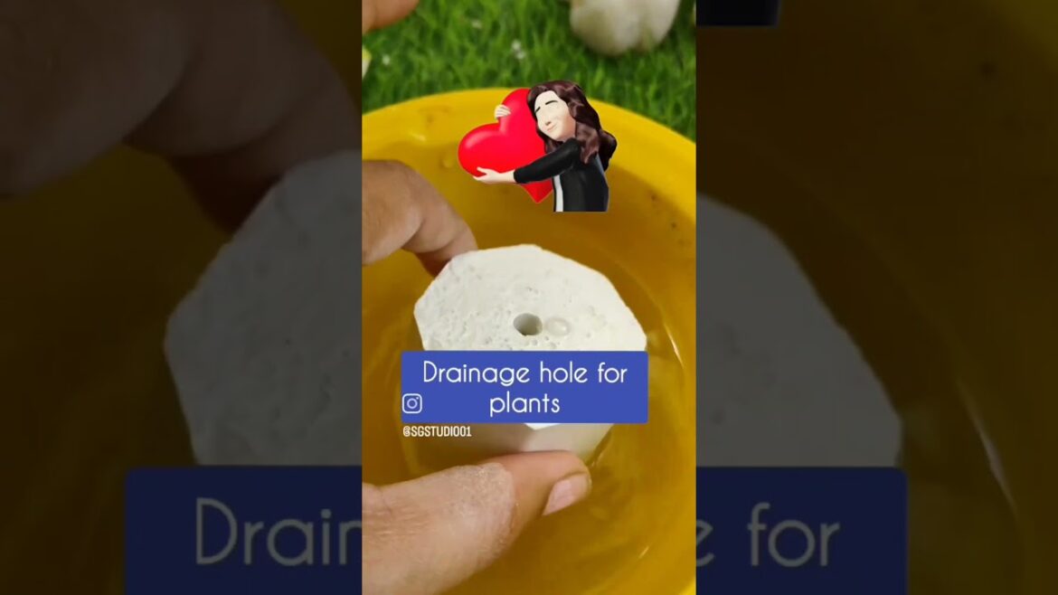 DIY Cute Cement Planter Made At Home ❤️ #shorts #diy #gardening