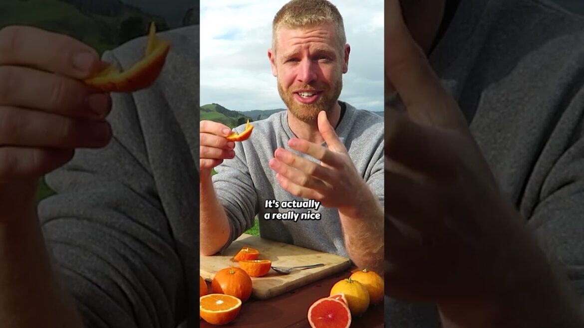 These Citrus Fruits PACK a PUNCH! – Rangpur Limes These Citrus Fruits PACK a PUNCH! - Rangpur Limes