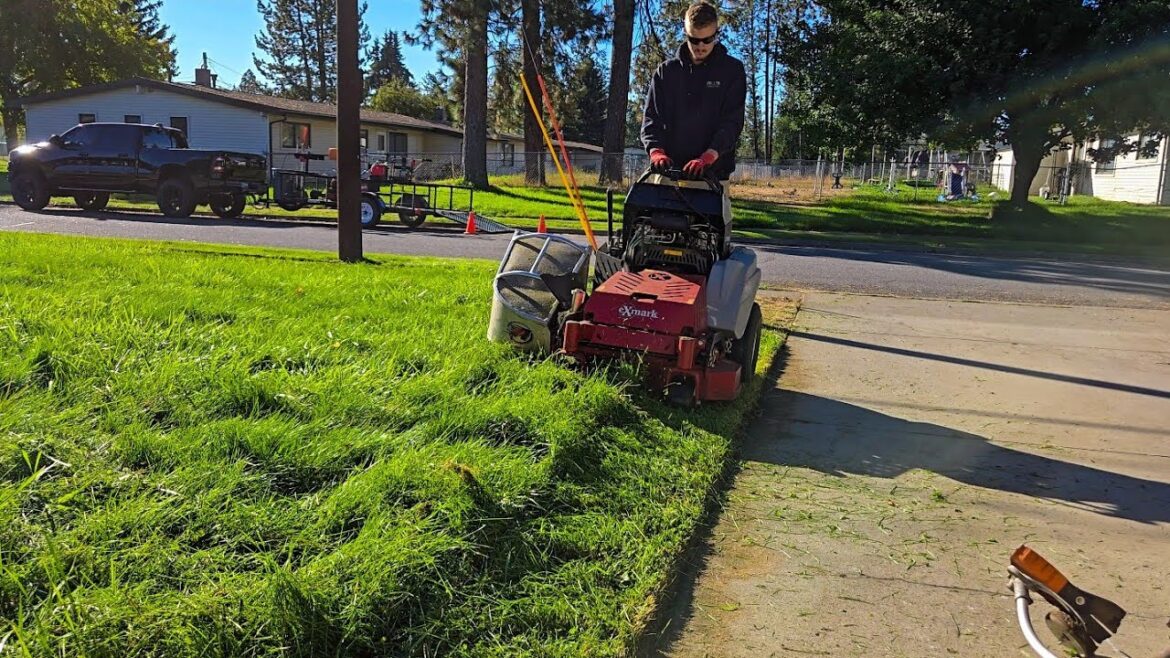 I Gave Her The YARD OF DREAMS All Neighbors Stopped TO ADMIRE