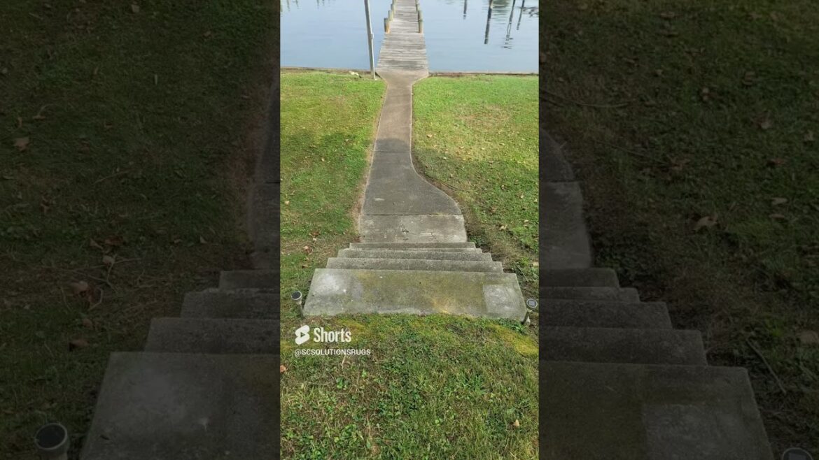 This Backyard Needed A life Saver🤢#shorts #landscape #cleaning