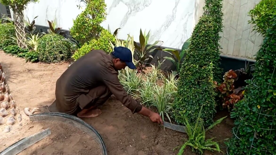 Project Landscape design Live work Team creative world landscaping in DHA Phase 6,Lahore 03004592737 Project Landscape design Live work Team creative world landscaping in DHA Phase 6,Lahore 03004592737