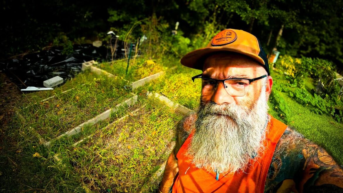 Killing weeds in a large area | a new garden project Killing weeds in a large area | a new garden project