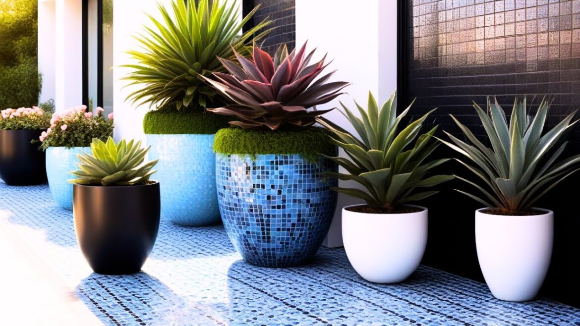 Transform Your Courtyard: Harmonious Garden Design with Colorful Planters