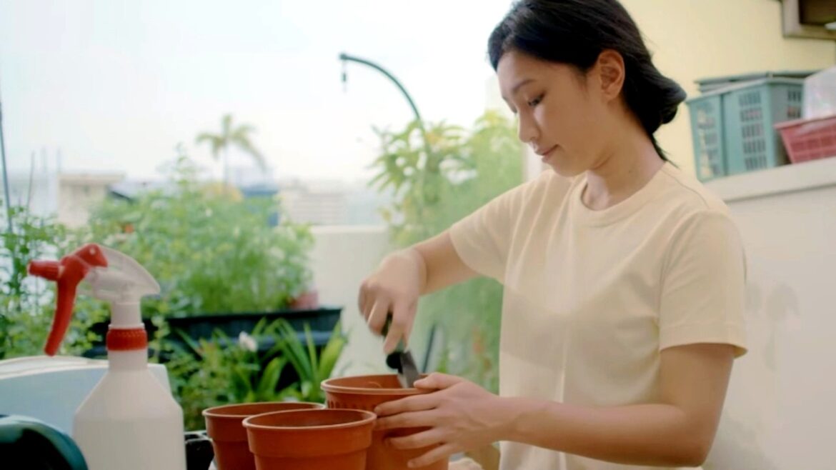 Tiny Gardens: a New Lifestyle