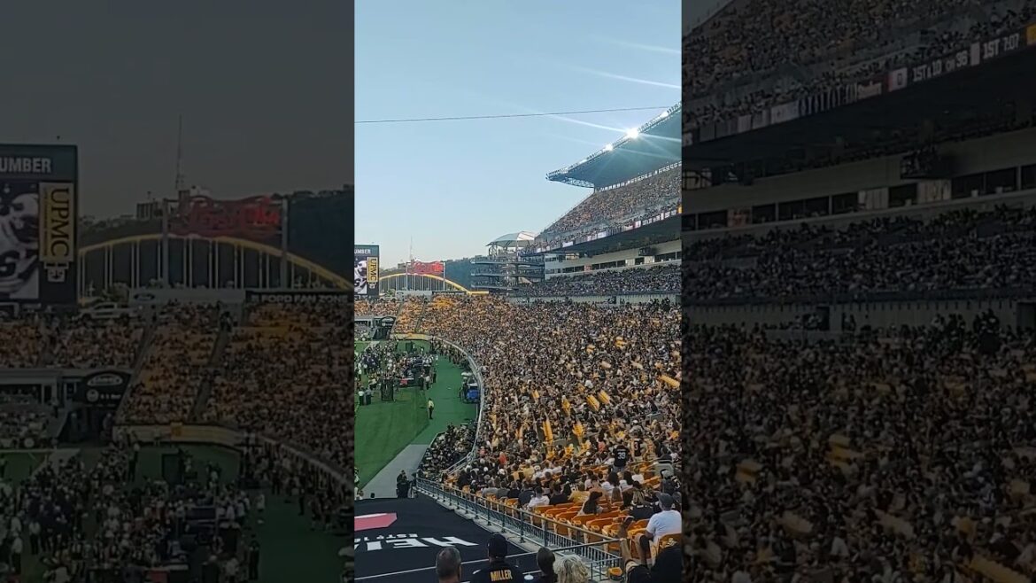 #steelers #stadium #nfl #chiefs #ravens #texans #vikings #taylorswift #gaming #halloween #usa #nyc