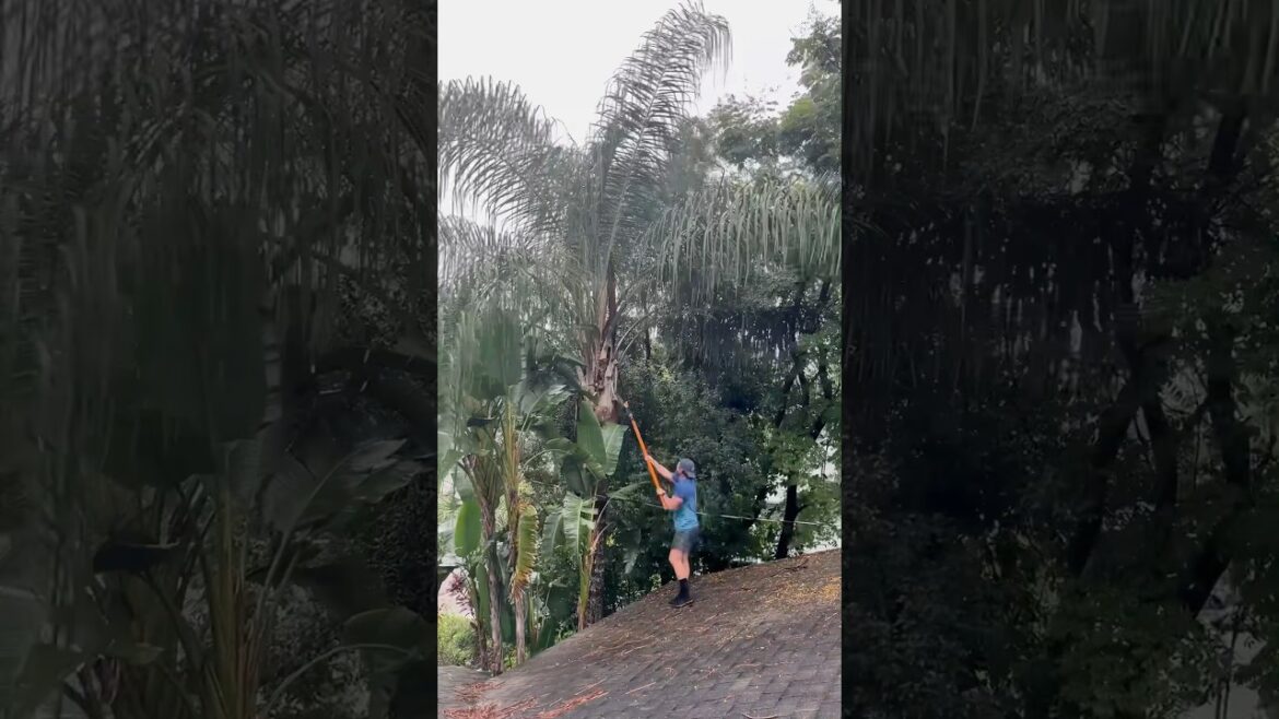 Last-Minute Hurricane Milton Prep 🌀 #hurricane #hurricanemilton #timelapse #gardening #shortsvideo Last-Minute Hurricane Milton Prep 🌀 #hurricane #hurricanemilton #timelapse #gardening #shortsvideo
