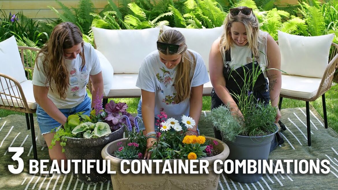It’s A Container Garden Party- Planting Containers For Shade, Pollinators, And More! It's A Container Garden Party- Planting Containers For Shade, Pollinators, And More!