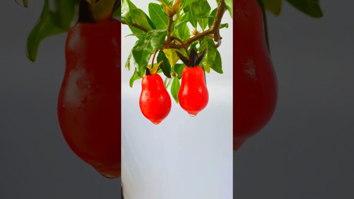 The Artistry of Bonsai: China's Miniature Wonders #bonsai #gardening