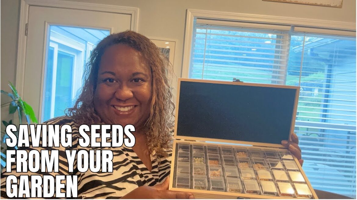 NOW IS THE TIME TO SAVE SEEDS