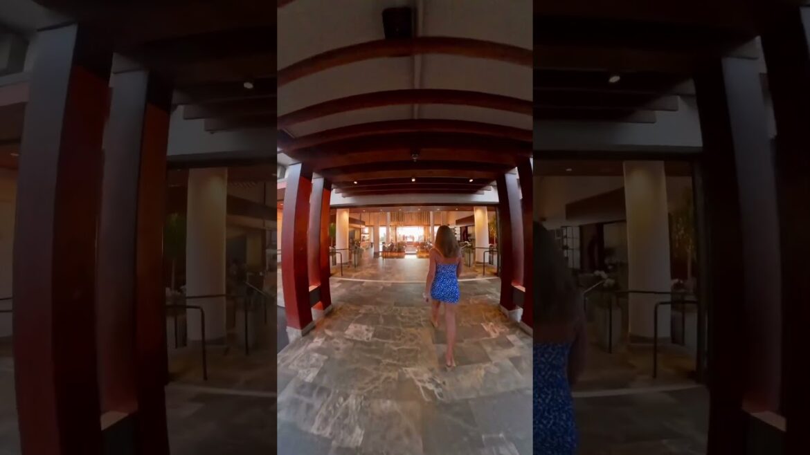 Insta360 x4 Hitchcock’s Dolly Zoom Effect - Stare at the window