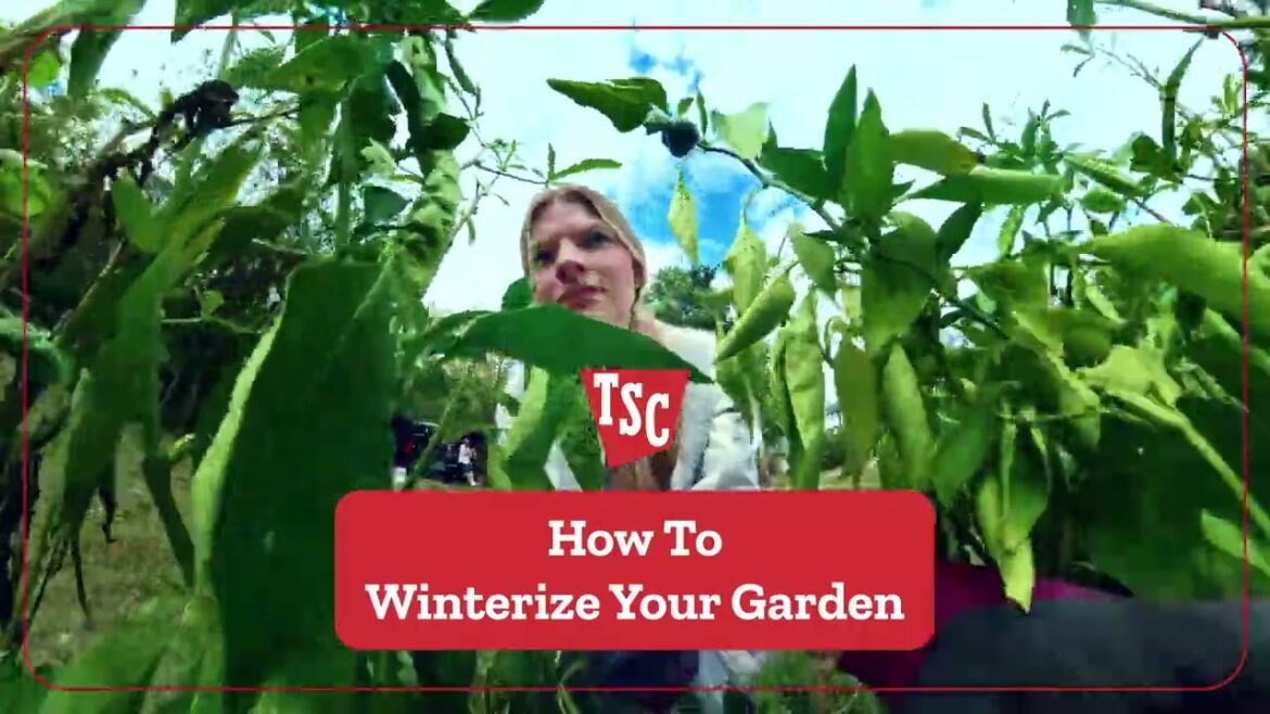 How to Winterize Your Garden | Tractor Supply Co.