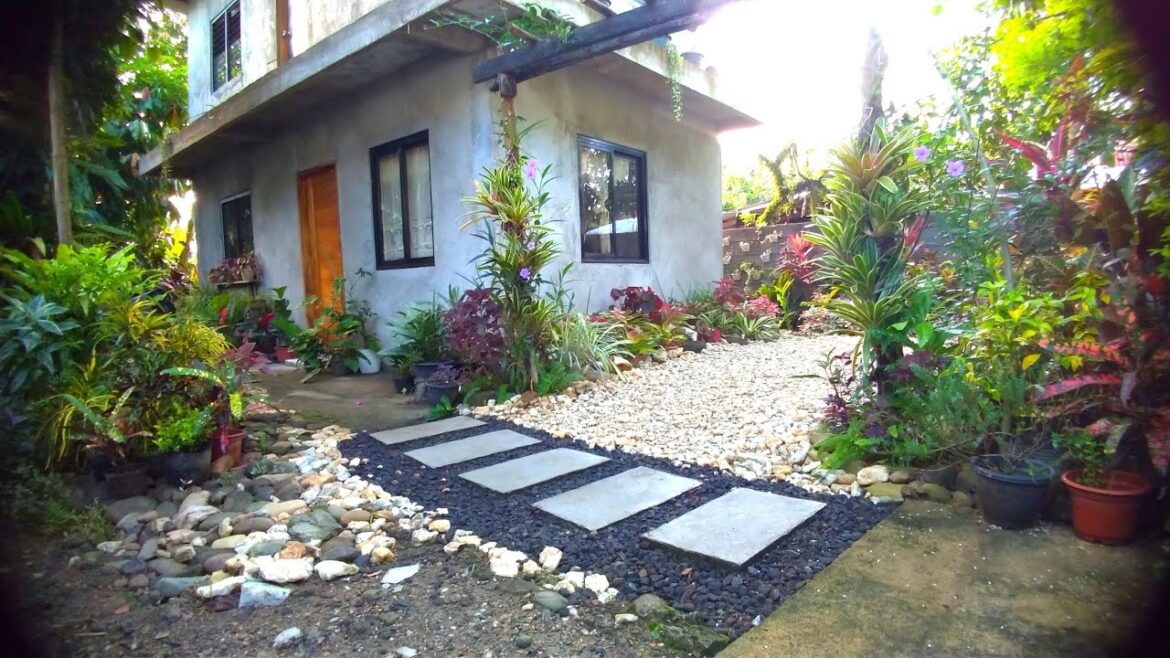 BEAUTIFUL RUSTIC GARDEN OF THE MOST ACTIVE PLANTITO IN THE WORLD BEAUTIFUL RUSTIC GARDEN OF THE MOST ACTIVE PLANTITO IN THE WORLD