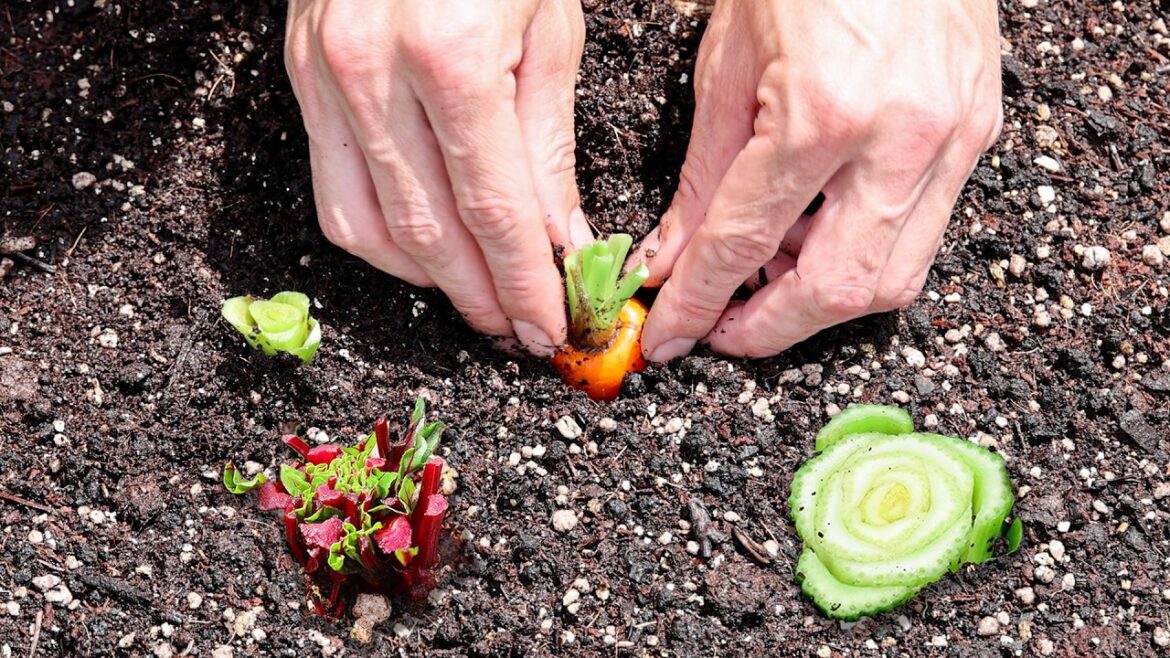 Just Bury Vegetable Scraps in the Garden and This Happens