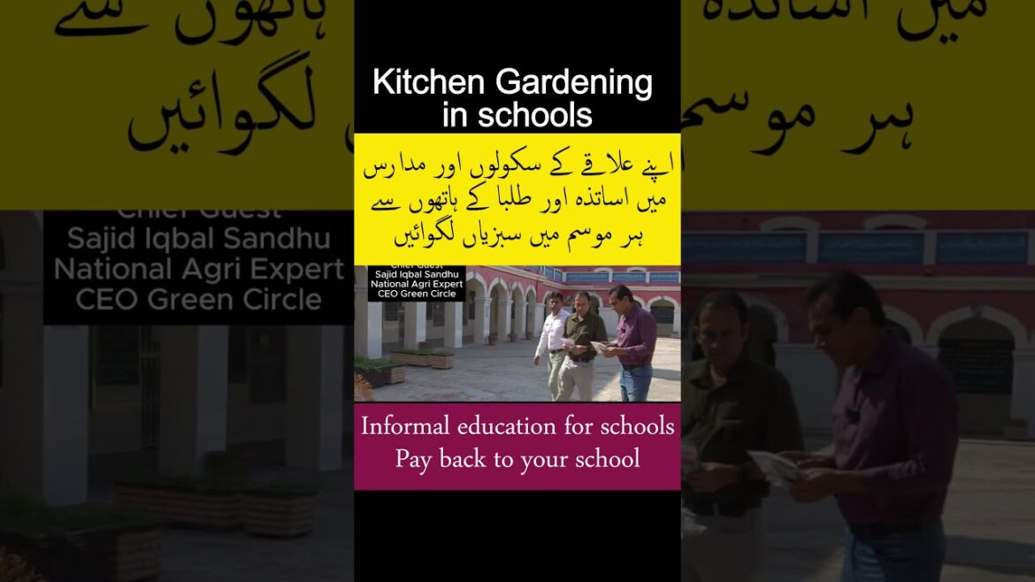 Vegetable gardening in school #homegarden #school #growyourownfood