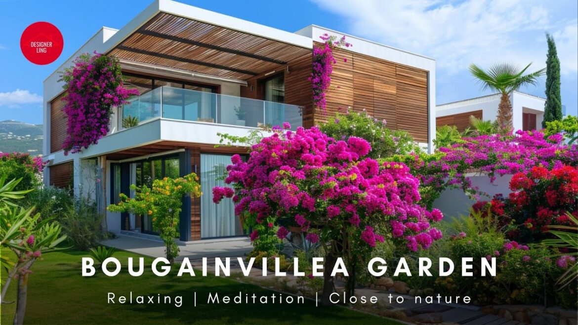 Let's Get Growing! Bougainvillea Garden Design for Beginners