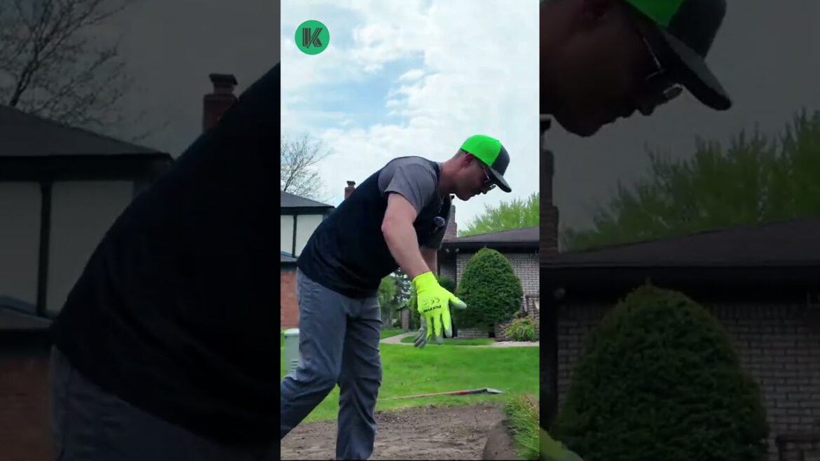 Installing Sod Today!!! #sodinstallation #landscaping #landscapingbusiness #keithkalfas Installing Sod Today!!! #sodinstallation #landscaping #landscapingbusiness #keithkalfas