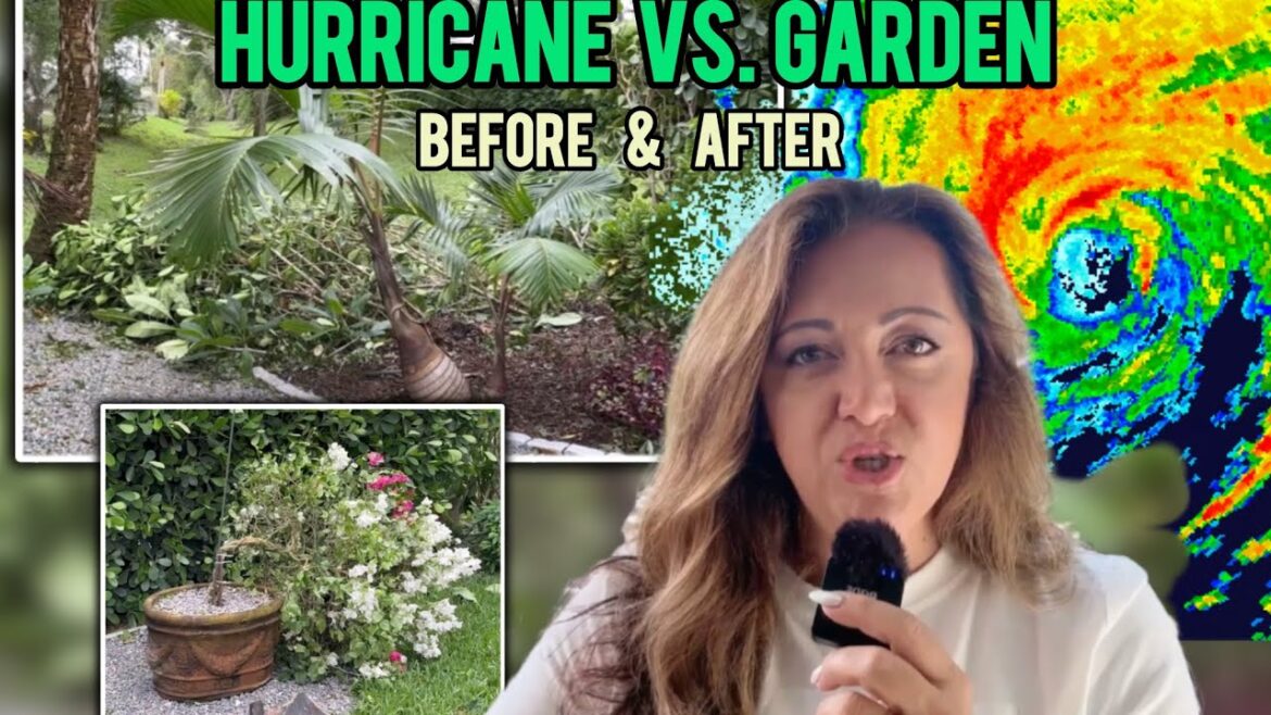 I Survived Hurricane Milton