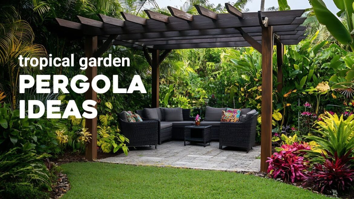 Transform Your Outdoor Space: Stunning Pergola Ideas for Tropical Gardens Transform Your Outdoor Space: Stunning Pergola Ideas for Tropical Gardens