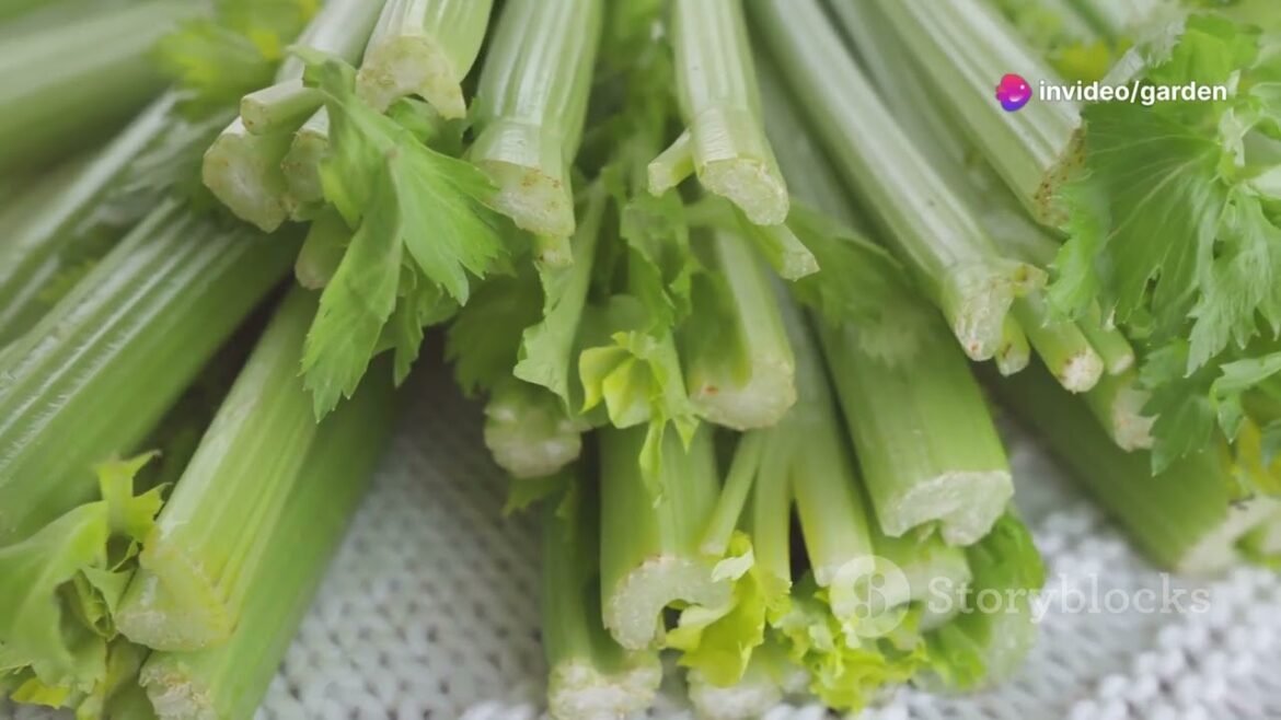 Unique and Unusual Plants to Grow in October | Rare Fall Gardening Ideas 🌿🍂