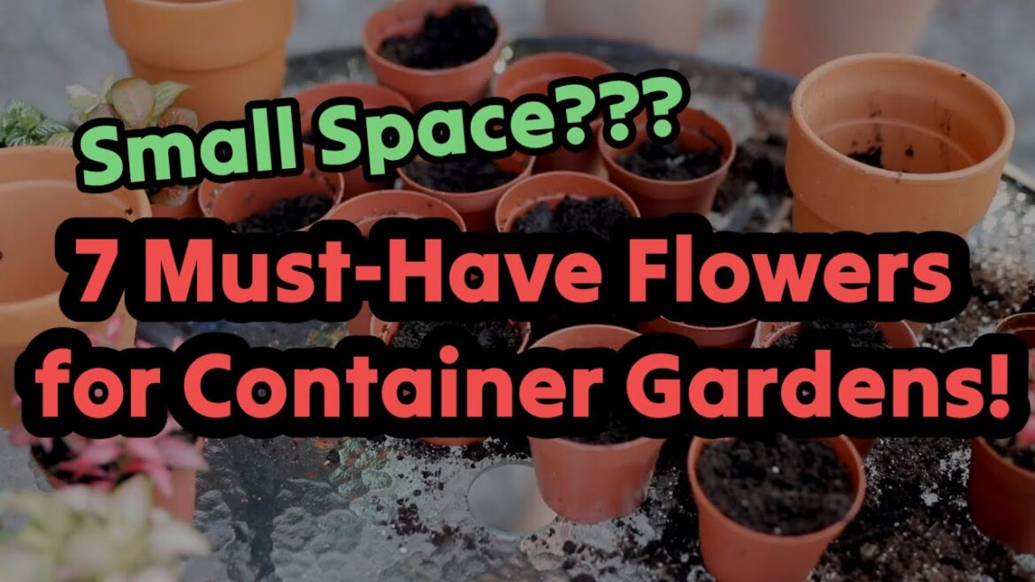 7 Must-Have Flowers for Container Gardens; Big Impact in Small Spaces #ContainerGardening