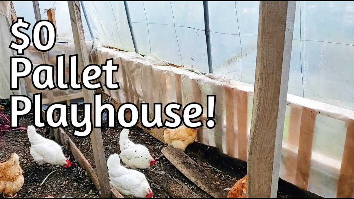 Chicken Winter Run - Upgrading in Small Ways :)