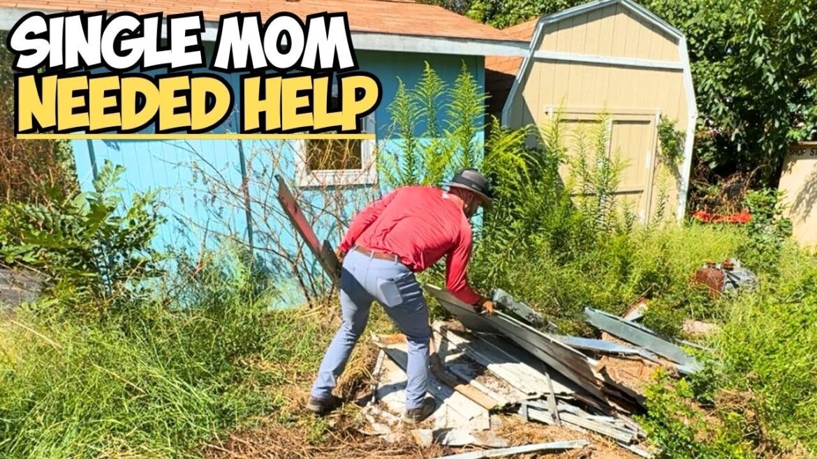 Single MOTHER in NEED of a FRESH START Single MOTHER in NEED of a FRESH START