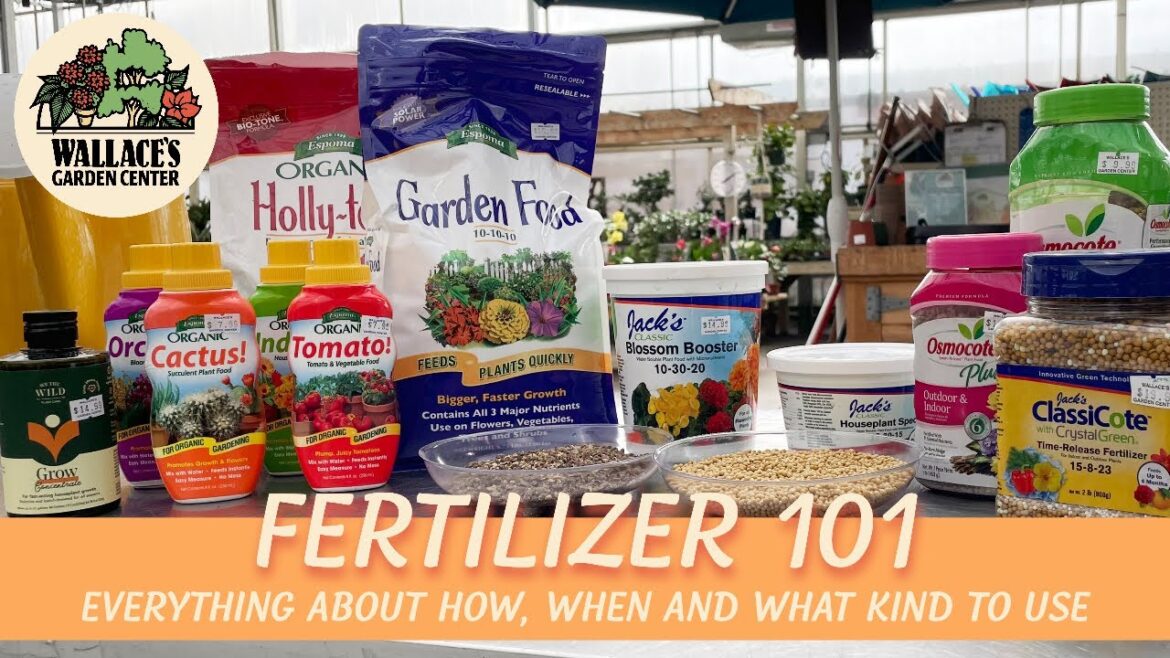 Mastering Fertilizers: A Comprehensive Guide for Thriving Gardens | Wallace's Garden Center