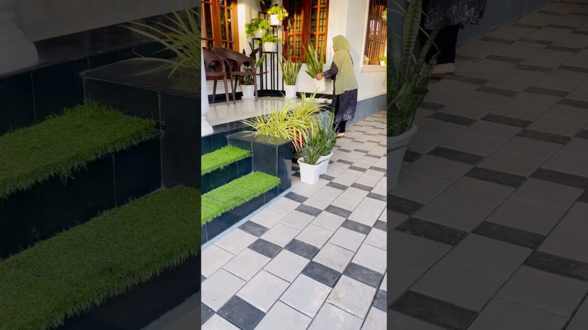 Evening Vlog#minivlog#evening#myplants#shortsfeed#shortvideo#ytshorts