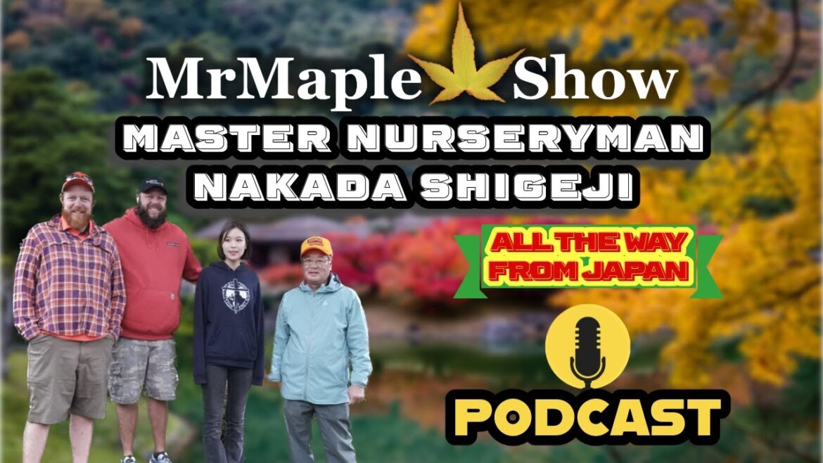 All The Way From Japan Master Nurseryman Nakada Shigeji | MrMaple Show Podcast All The Way From Japan Master Nurseryman Nakada Shigeji | MrMaple Show Podcast