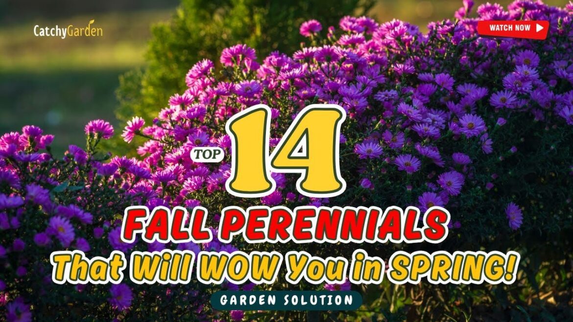 TOP 14 FALL PERENNIALS That Will WOW You in SPRING! πΌπΏπΈ // Gardening Ideas TOP 14 FALL PERENNIALS That Will WOW You in SPRING! πΌπΏπΈ // Gardening Ideas