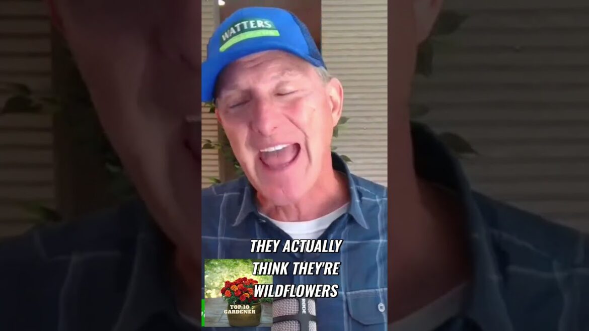 Discover the Best Bulletproof Plants