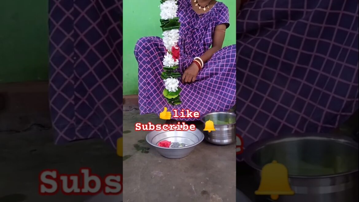 Gardening 🌼 #mygarden #harvesting #flowers #shorts #viralshorts Gardening 🌼 #mygarden #harvesting #flowers #shorts #viralshorts