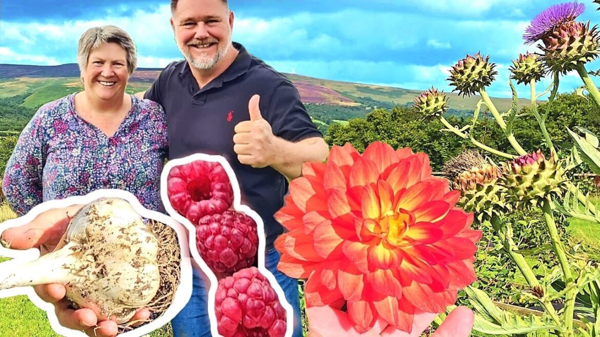 4 Acre UK Food Garden TOUR + TIPS: A Self-Sufficient INSPIRATION! 4 Acre UK Food Garden TOUR + TIPS: A Self-Sufficient INSPIRATION!