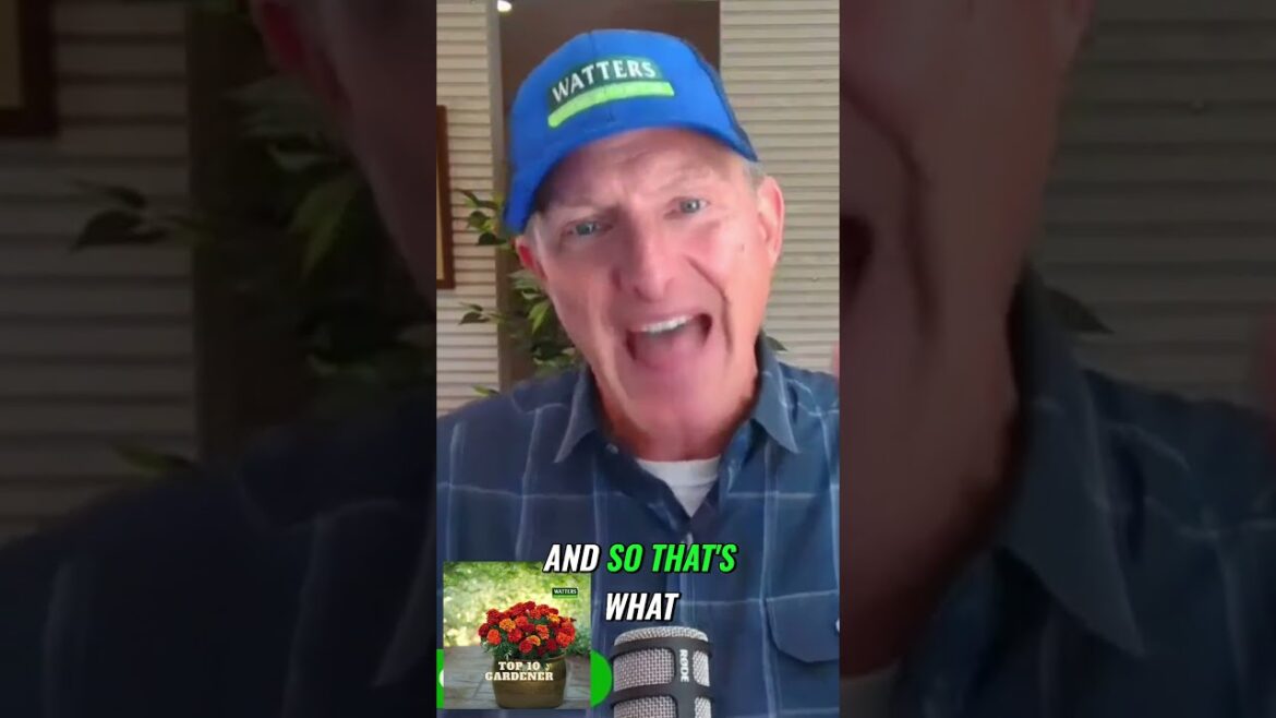 The Power of Conscious Capitalism – Thriving Through Nonprofits The Power of Conscious Capitalism - Thriving Through Nonprofits