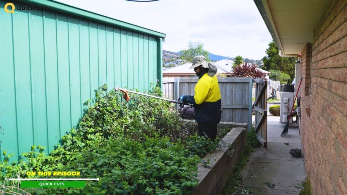Can We REALLY Transform This Backyard Mess in 8 HOURS? Can We REALLY Transform This Backyard Mess in 8 HOURS?