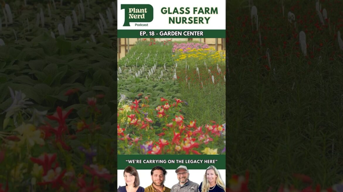We Just Bought a Garden Center: Glass Farm Nursery
