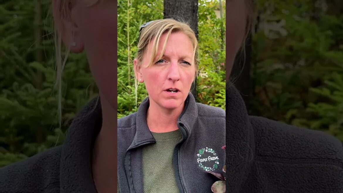 Why Fall Is the Best Time to Plant Shrubs, Trees, and Perennials | Frost Farms Garden Center