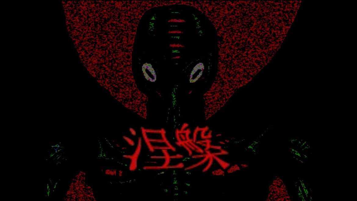 The Nehan Experience