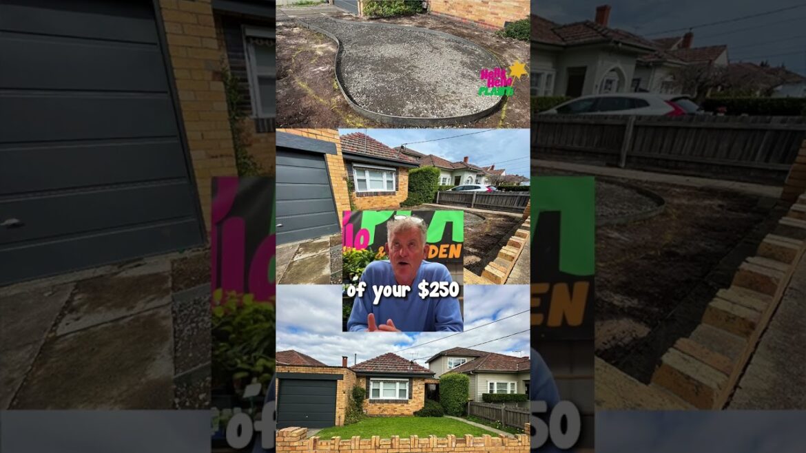 An Intro to My Professional Free Garden Design Service