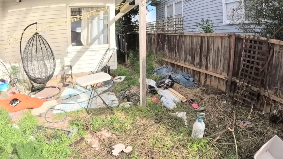 REVIVING an OVERGROWN YARD THAT LOOKED LIKE A DISASTER REVIVING an OVERGROWN YARD THAT LOOKED LIKE A DISASTER