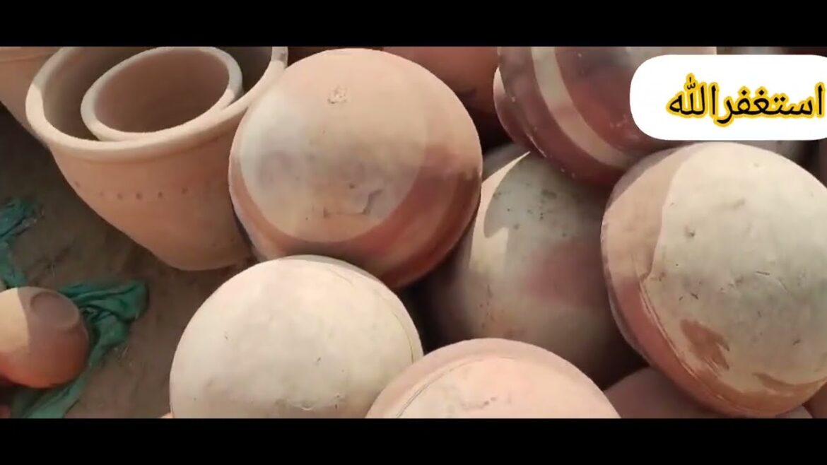 INDIA'S Fastest Growing Plants REVEALEDہندوستان کے سب سے تیزی سے بڑھنے والے پودے سامنے آگئے!