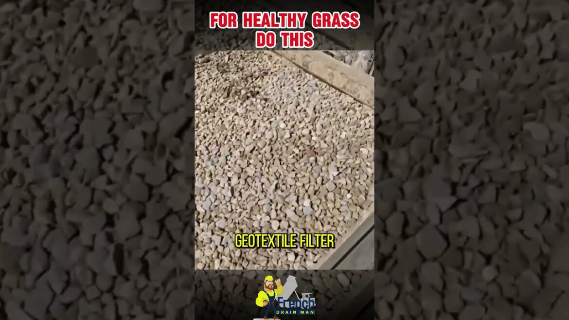 The Best Materials for Healthy Lawn Drainage The Best Materials for Healthy Lawn Drainage