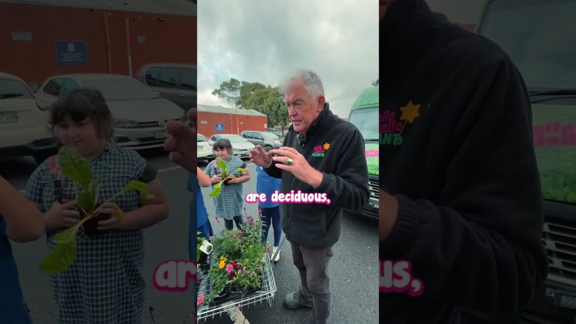 Thomastown Primary School received a generous donation from Hello Hello Plants!💚🌻🌾