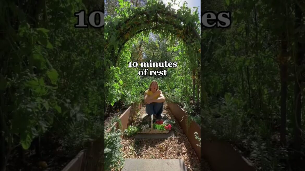 This is a total game changer if you ask me 😂 Time to cultivate some happiness! #garden #mentalhealth