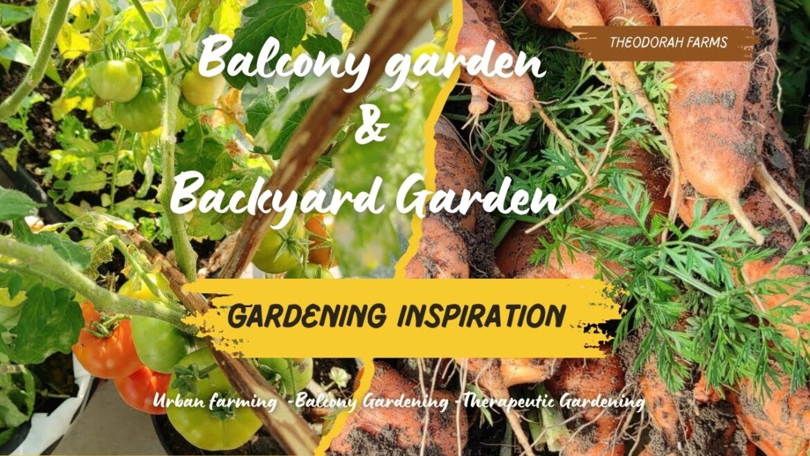 🥦🍅🫑🥕Balcony Garden & Backyard Garden inspiration #backyardgarden #garden #gardening #food #farming