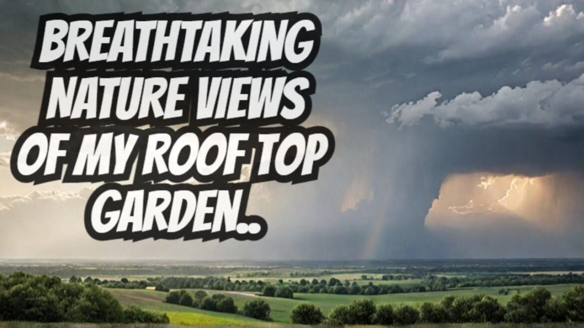 Nature what a view ……2 weather together #rooftopgardens #rain #sunnyday Nature what a view ......2 weather together #rooftopgardens #rain #sunnyday