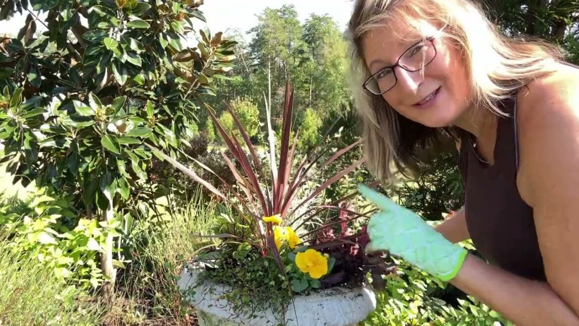 Planting a Fall Container for Backyard Cottage Garden/ Good for Beginner Gardner's!!